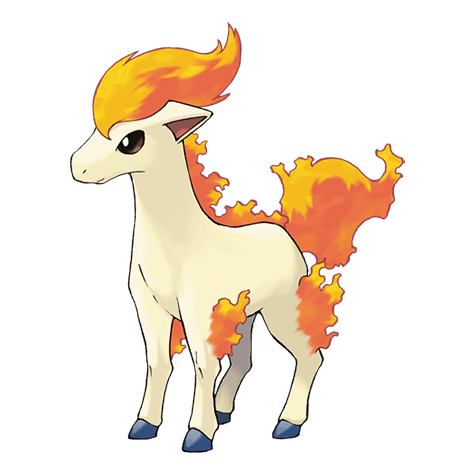 ponyta