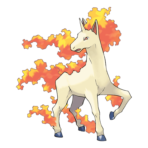 rapidash