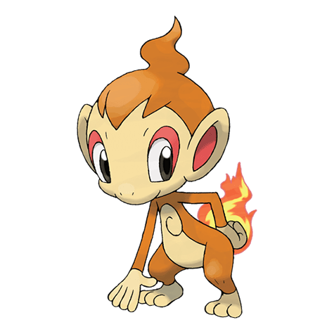 chimchar