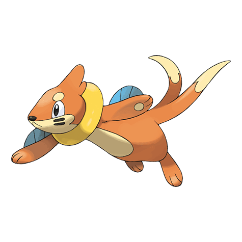 buizel