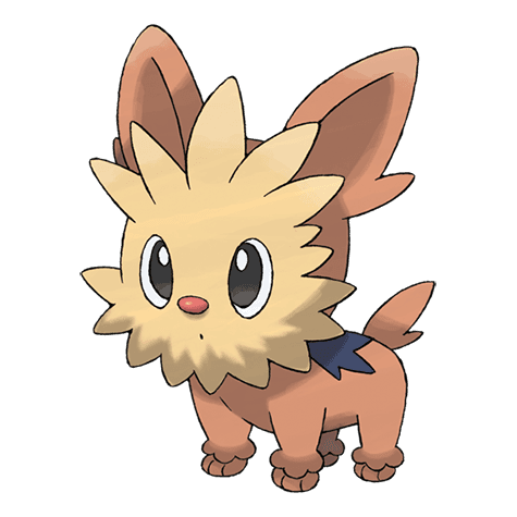 lillipup