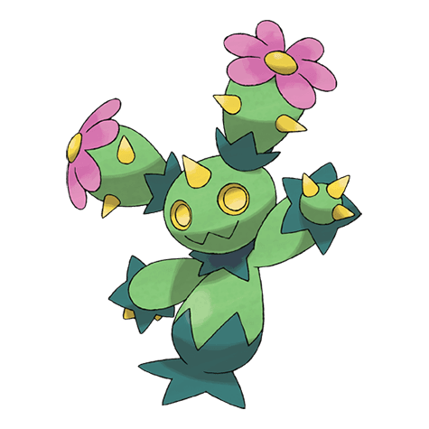 maractus