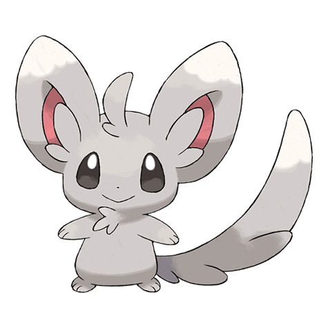 minccino