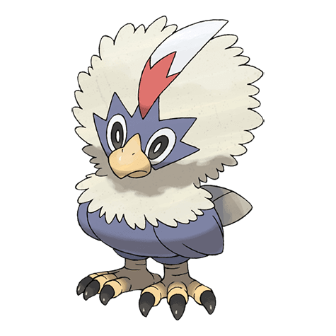 rufflet